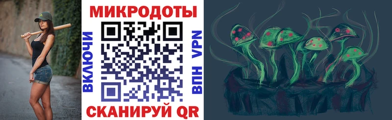 Галлюциногенные грибы Cubensis  Новоалександровск 