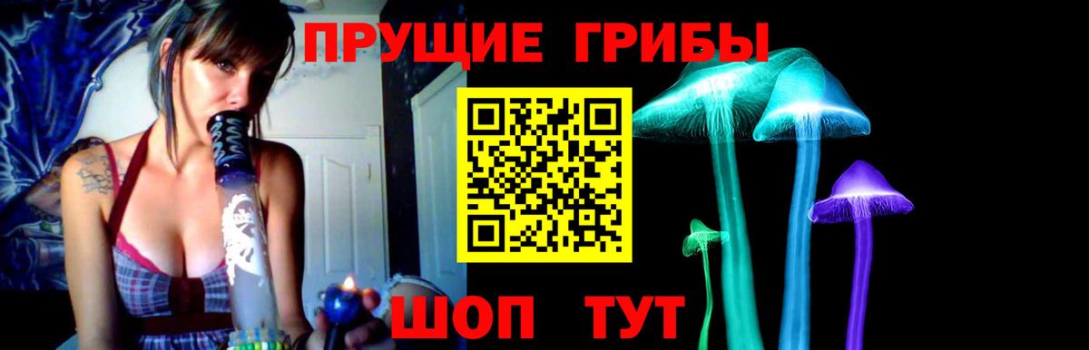 Псилоцибиновые грибы MAGIC MUSHROOMS Новоалександровск