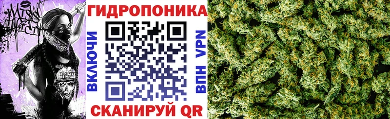 МАРИХУАНА THC 21%  продажа наркотиков  Новоалександровск 